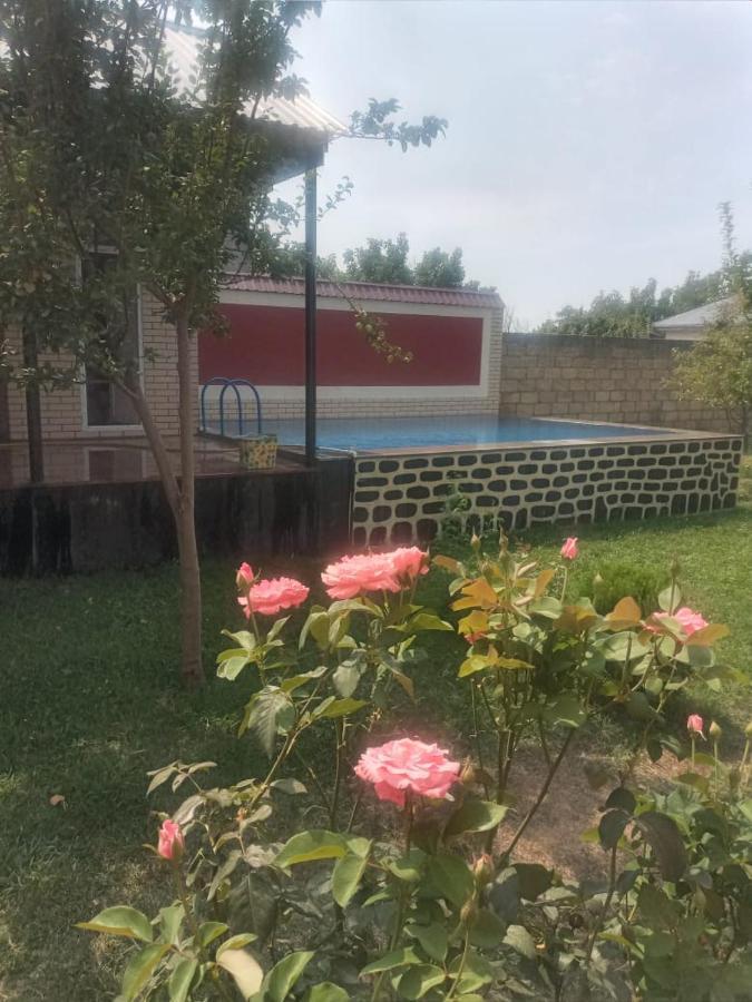 Villa Vilish Gabala Exteriör bild