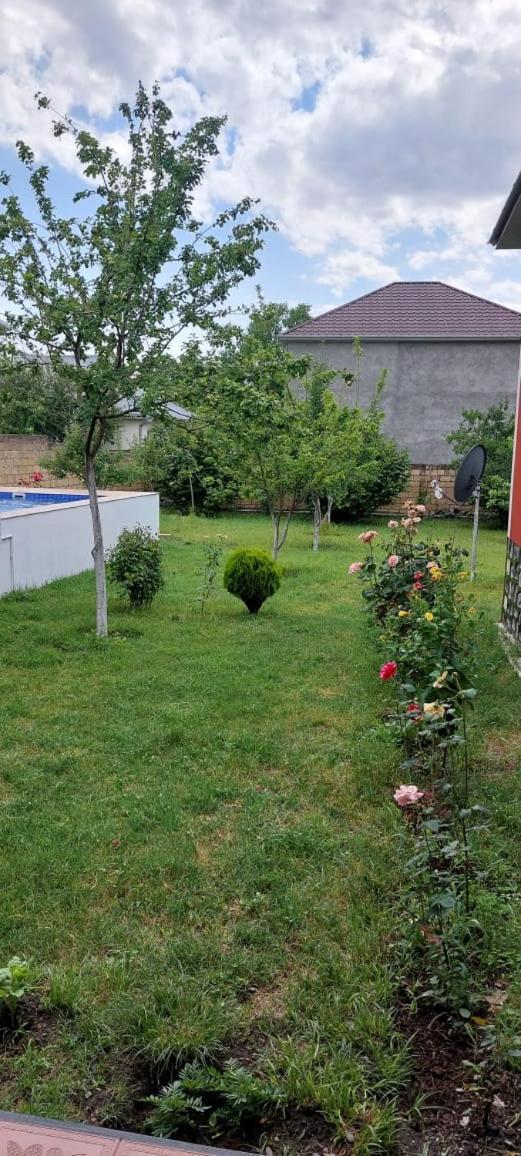 Villa Vilish Gabala Exteriör bild